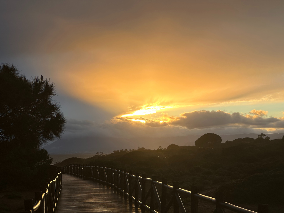 Photo by Sergei Gussev on StockSnap