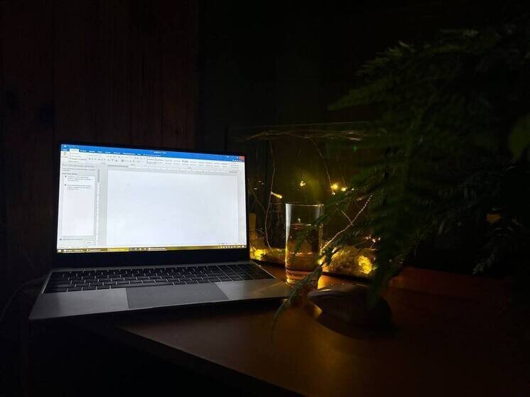     Такие результаты достигнуты благодаря городской службе занятости. Фото: архив МК в Питере