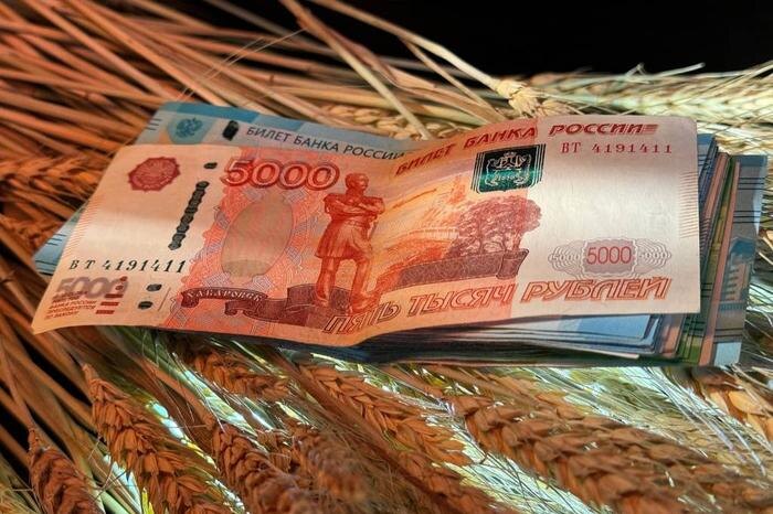 Обложка © Life.ru