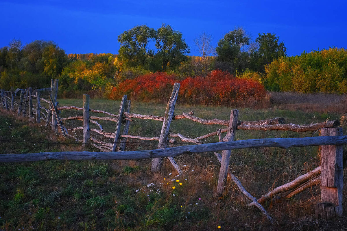 Изобрадение взято из свободых источников
