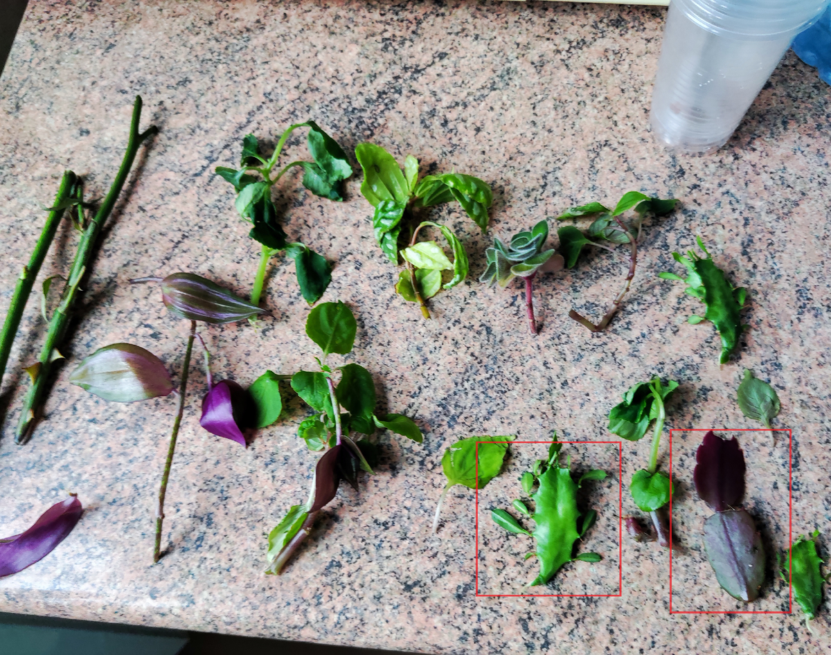 Опасность в виде отростка Малочая выделен красным