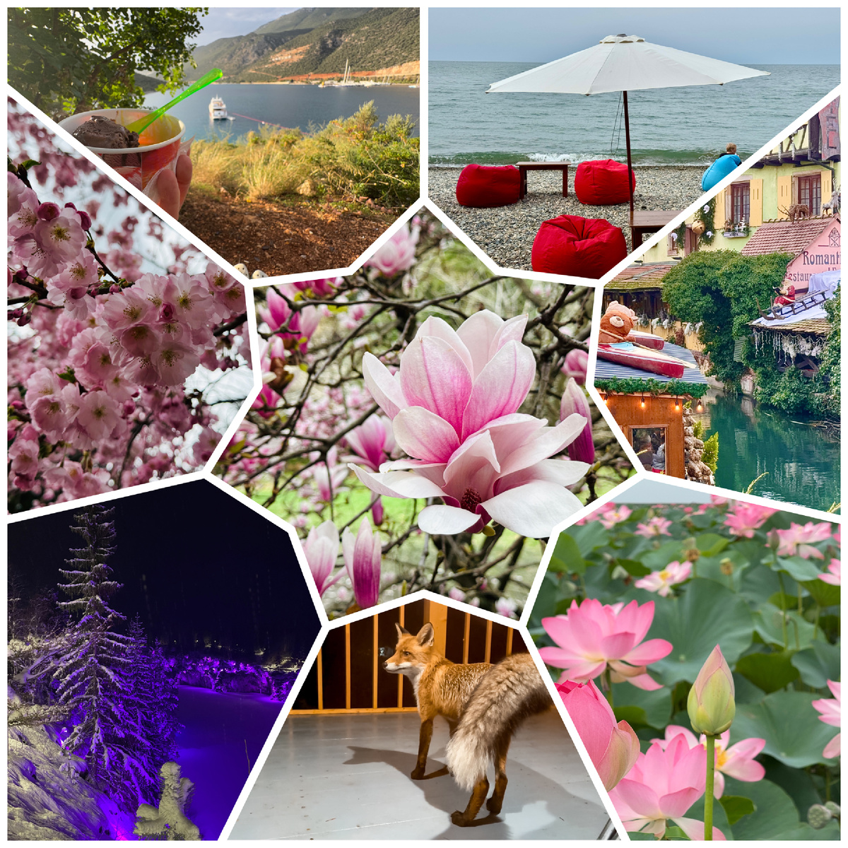 Фото автора 