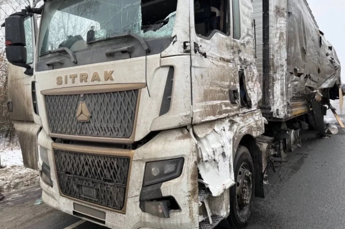    В Спасском районе под Пензой в результате ДТП погиб 61-летний водитель