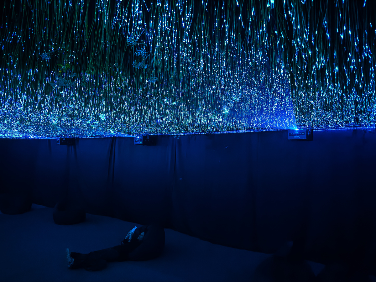 Кто найдет Лизу на фото?