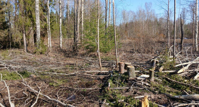    Фото: пресс-служба прокуратуры Вологодской области