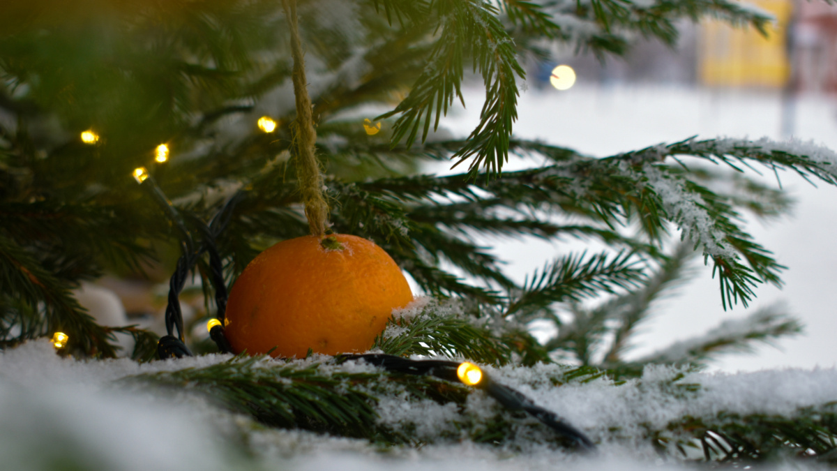 ИА «Тульская пресса»📷
