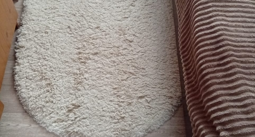    фото bryansk.news