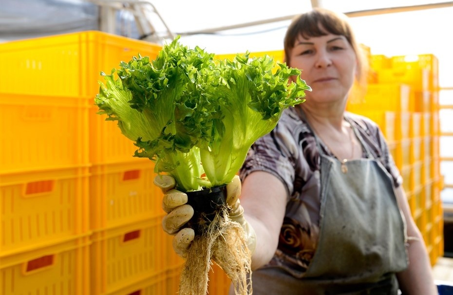    Автор фото: Сергей Ермохин/"ДП"