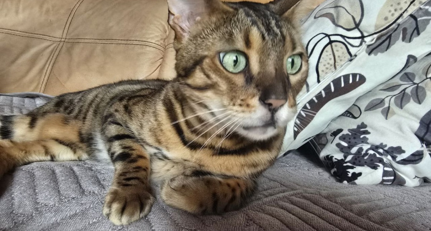    Фото Анастасии Дмитриевой