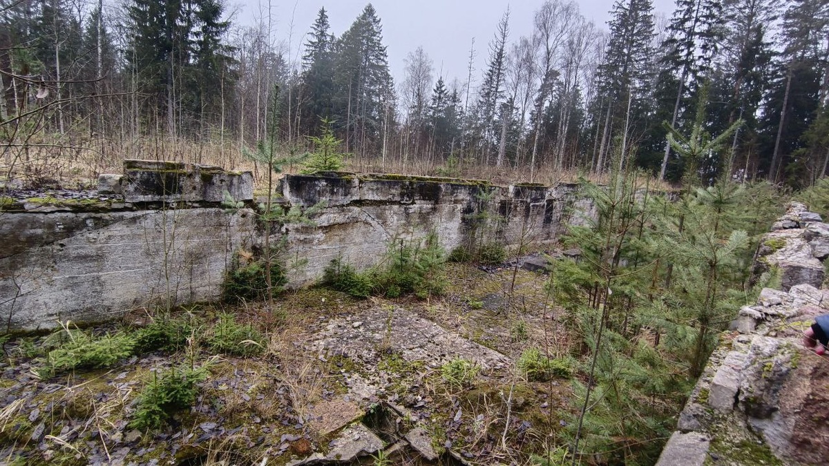 Фундаменты резиденции, в которой находилась прифронтовая ставка люфтваффе.