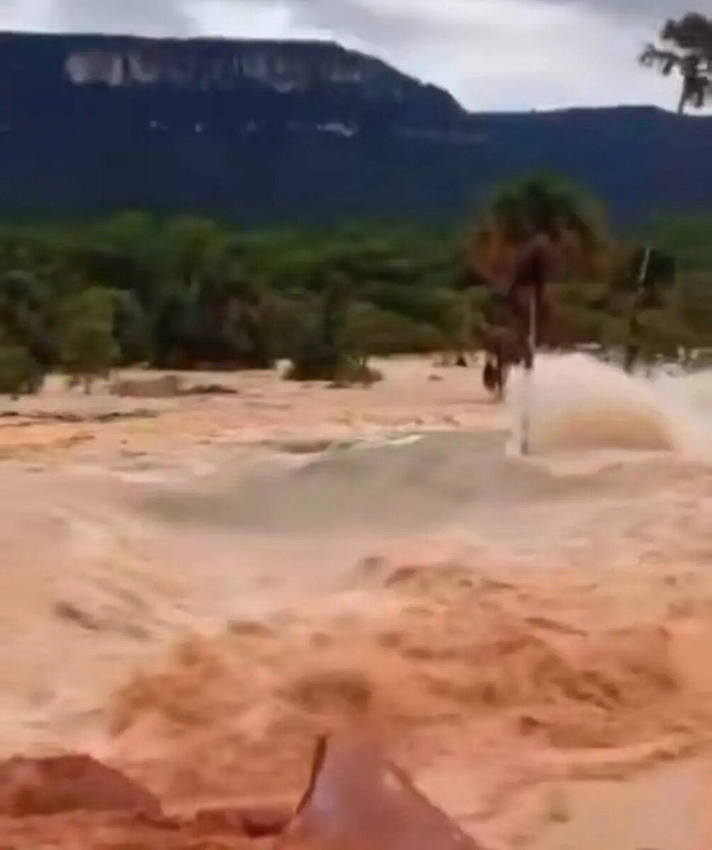    Фото: скриншот видео из соцсетей