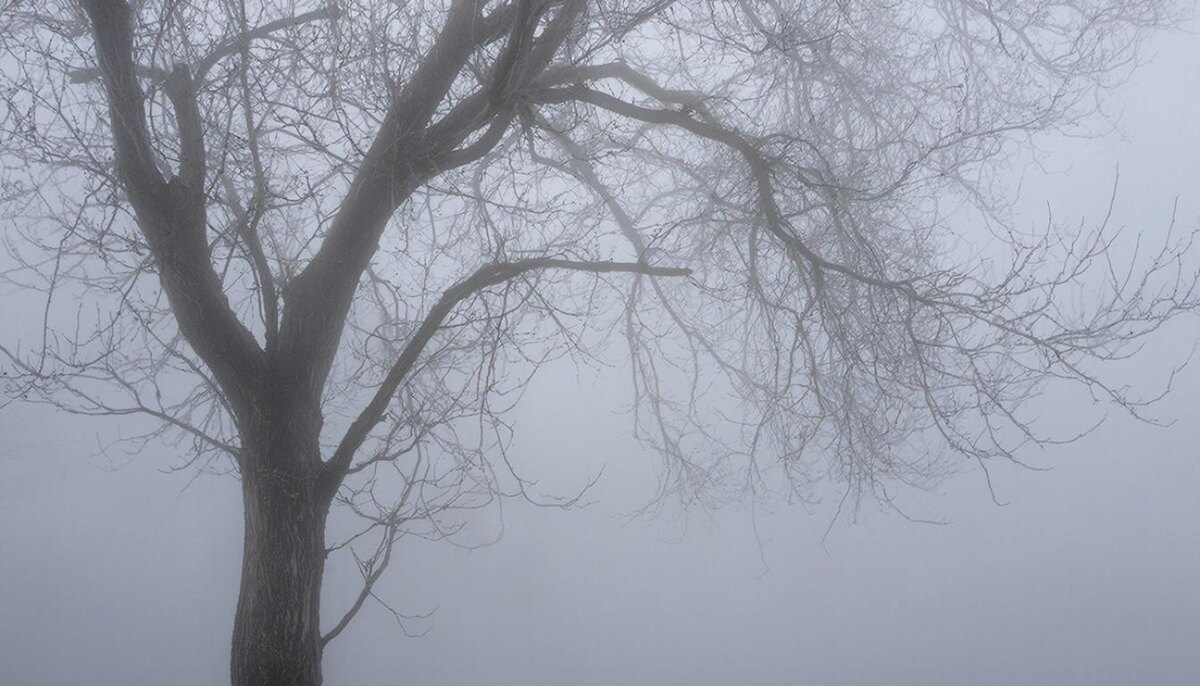 Ёжик в тумане? Сайлент хилл? Другие?