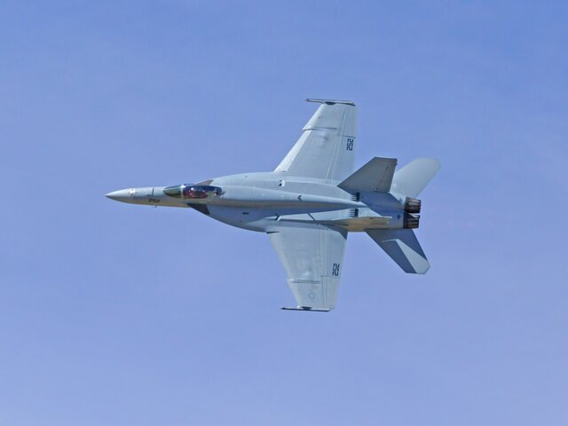    Фото: depositphotos/KGriff