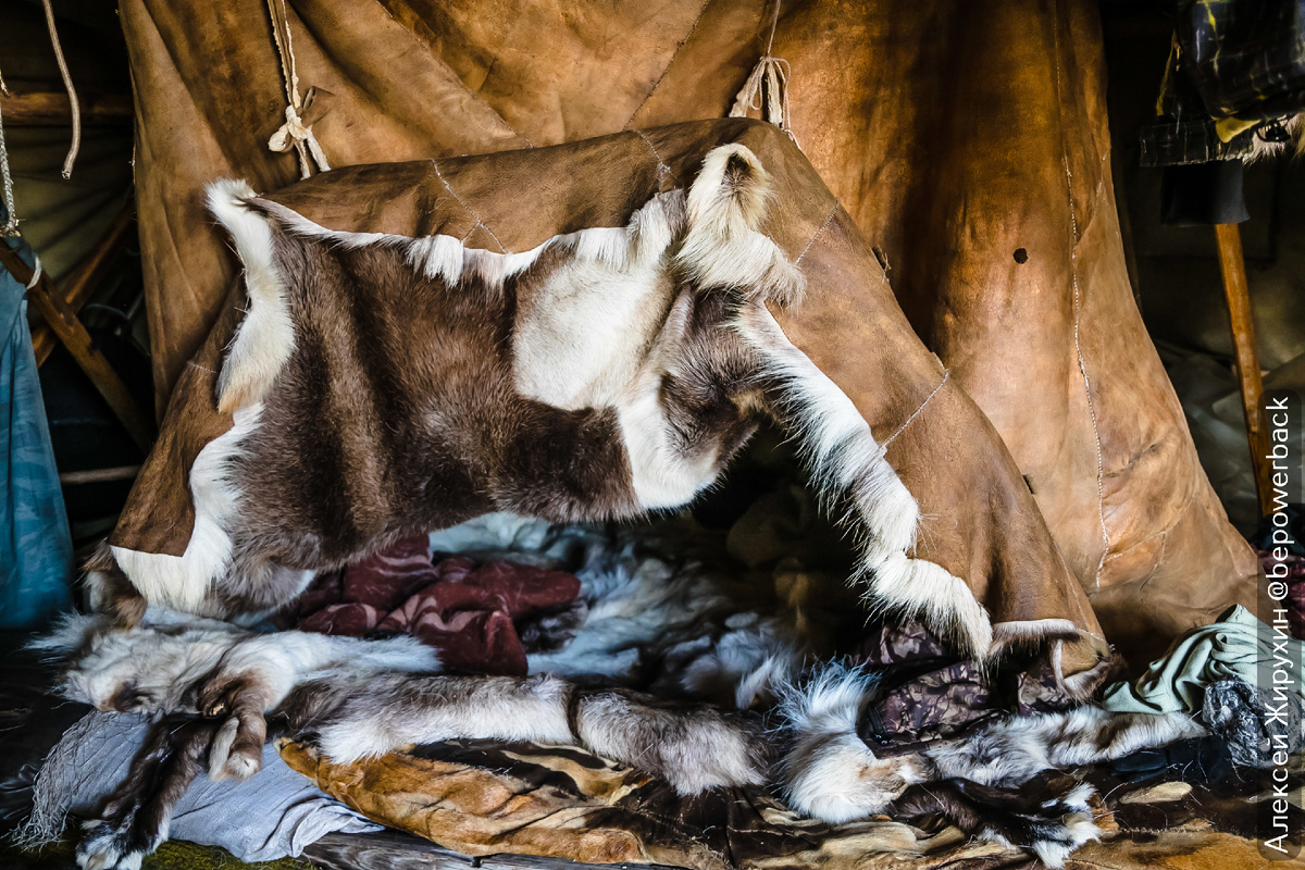 Вход в царство сна: меховой портал в +30°C