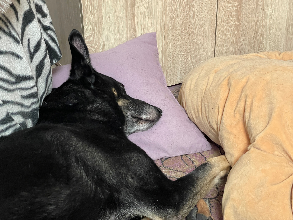 Удобно! Хорошо, что мне до этого не удалось ее разорвать 🤣! Не оценил бы ее тогда 😅!