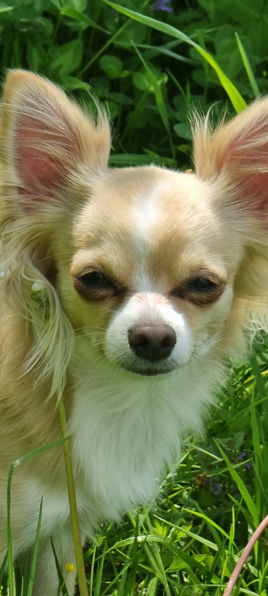 Мой Тихон не просто так отворачивался и зевал. Я сердилась, а он пытался сохранить в доме мир... Теперь я у него учусь!