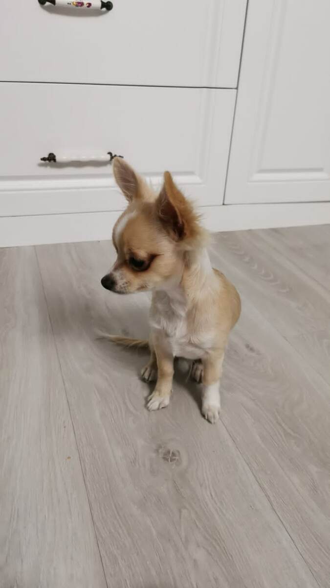 Взял и отвернулся...