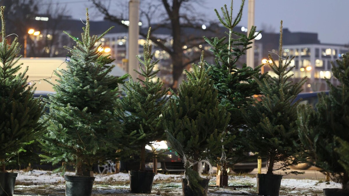    Фото: DarSzach/Shutterstock/Fotodom