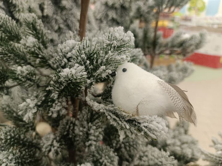    Фото:Екатерина Подпенко