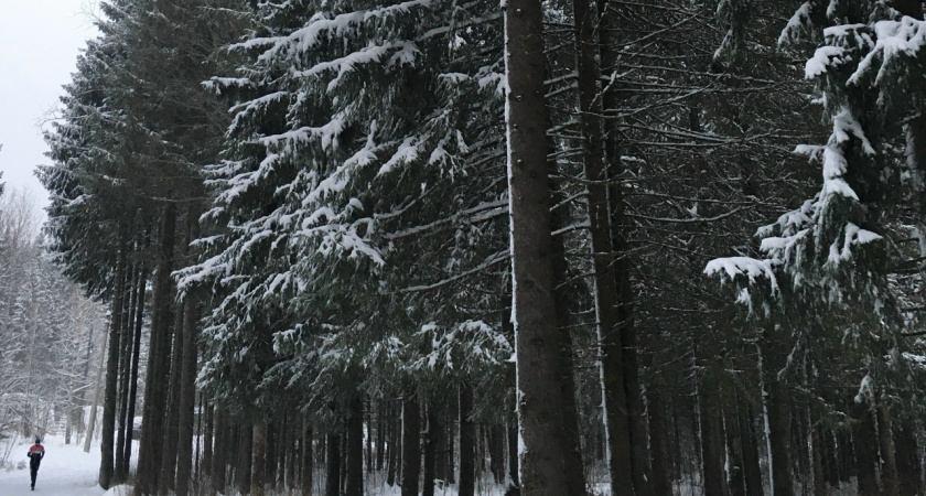    Фото из архива редакции