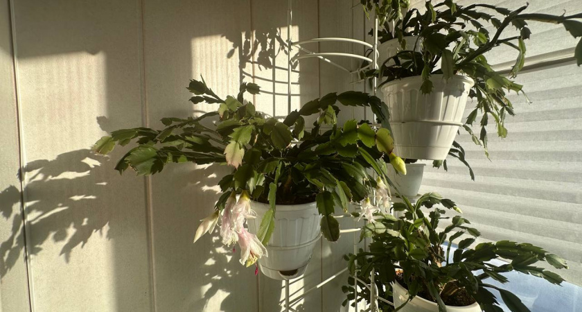    Фото из архива редакции