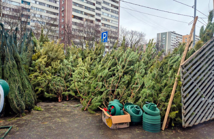    Воронин Денис/Агентство «Москва»