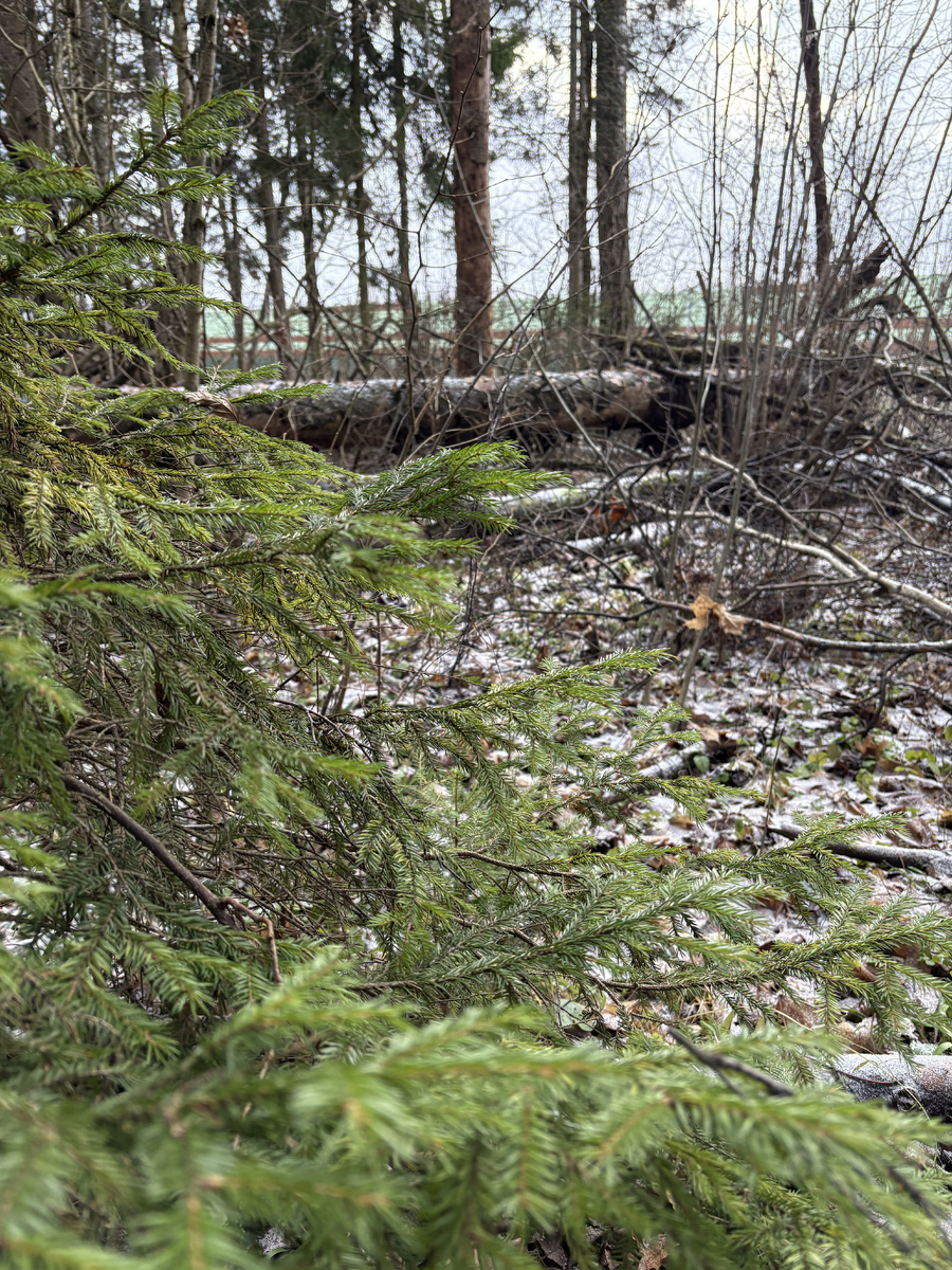 Фото Анжелики Живкович