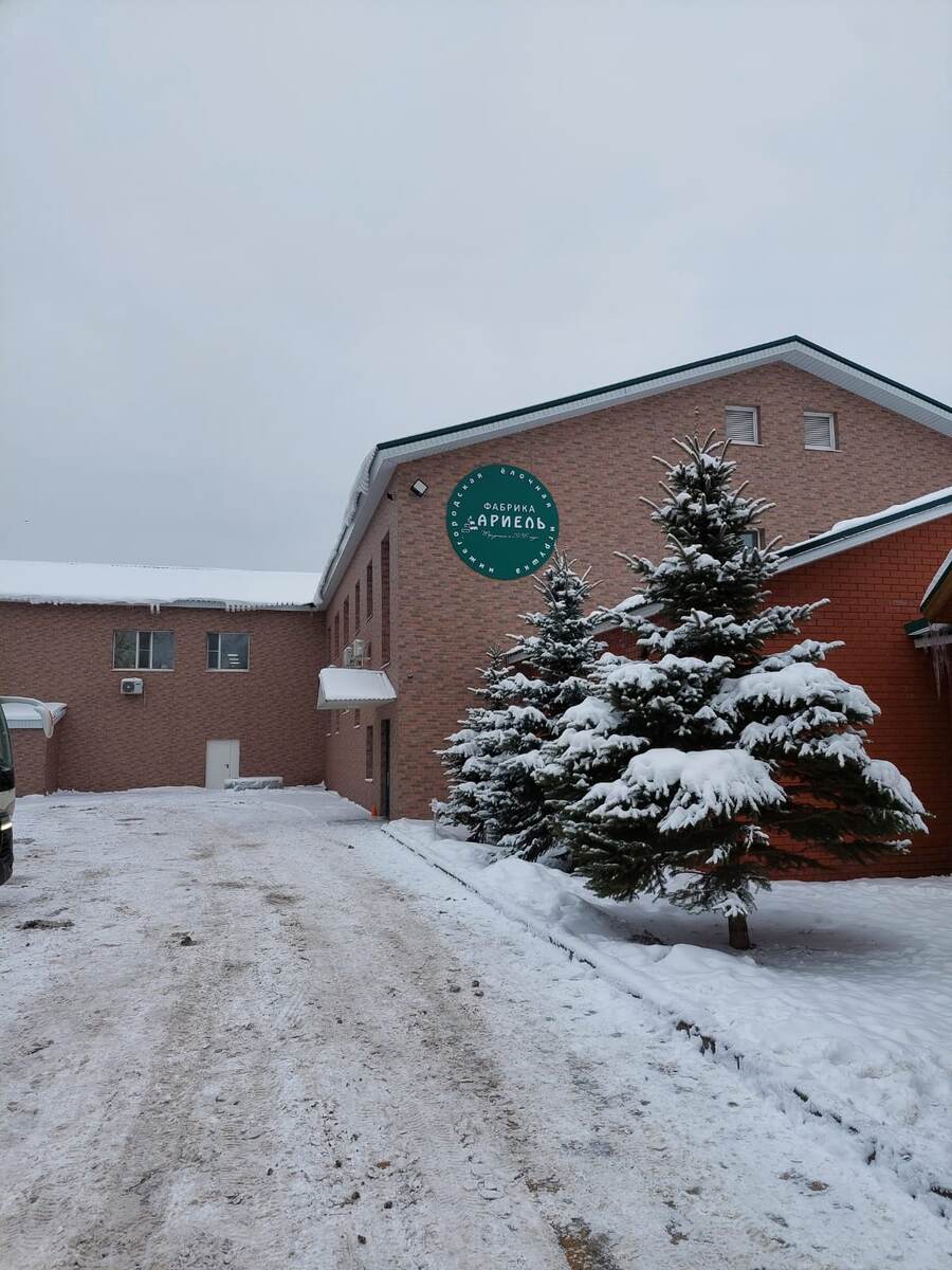 Нижегородская фабрика ёлочной игрушки "Ариель"