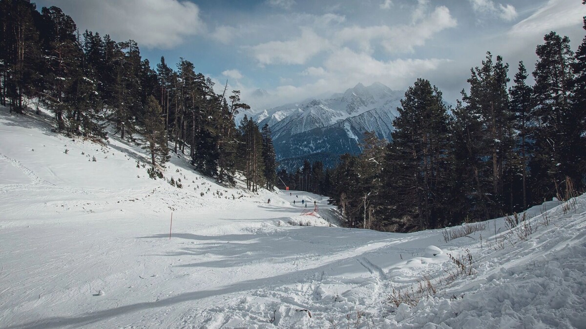     Источник: 1MI