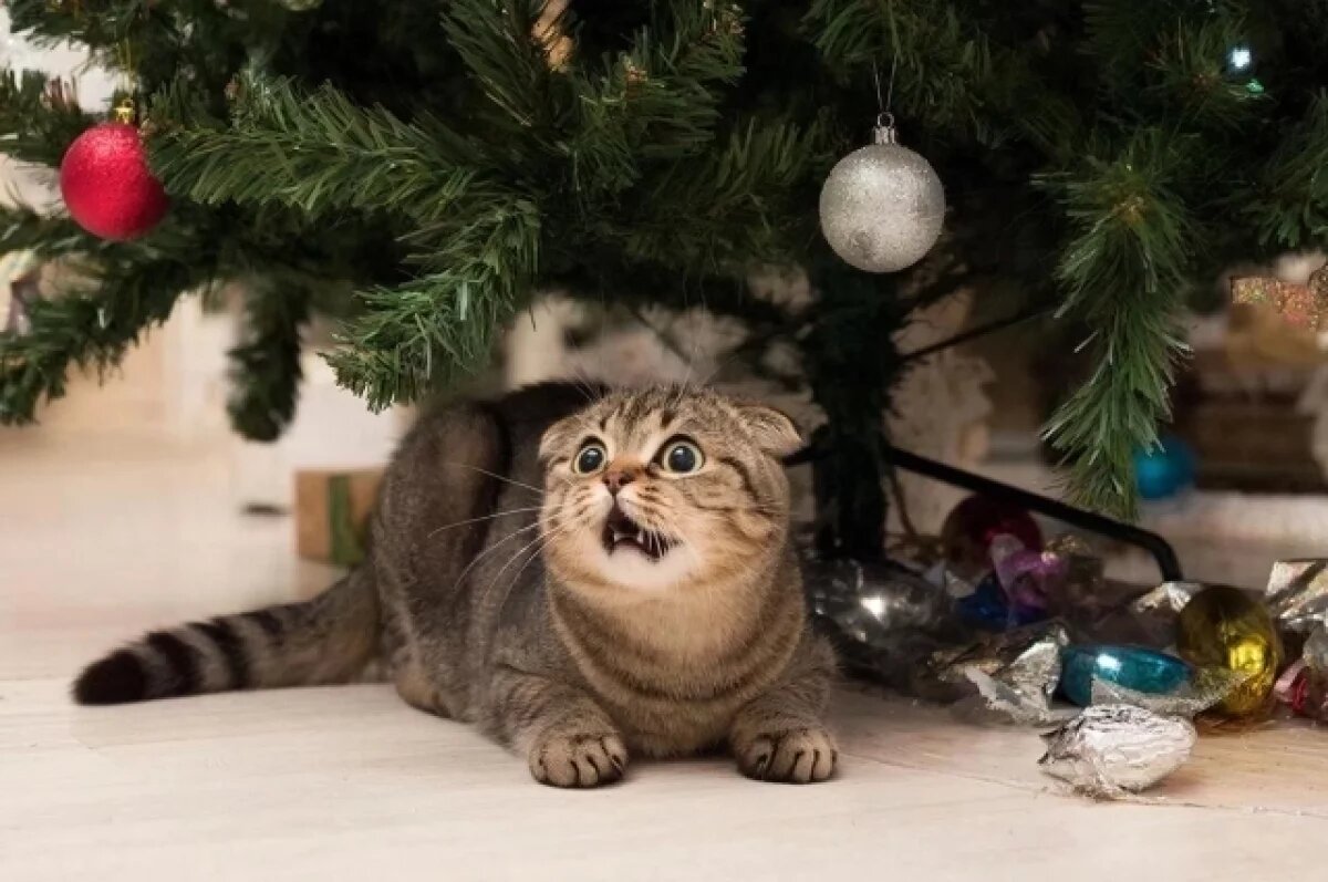    Секретная угроза.