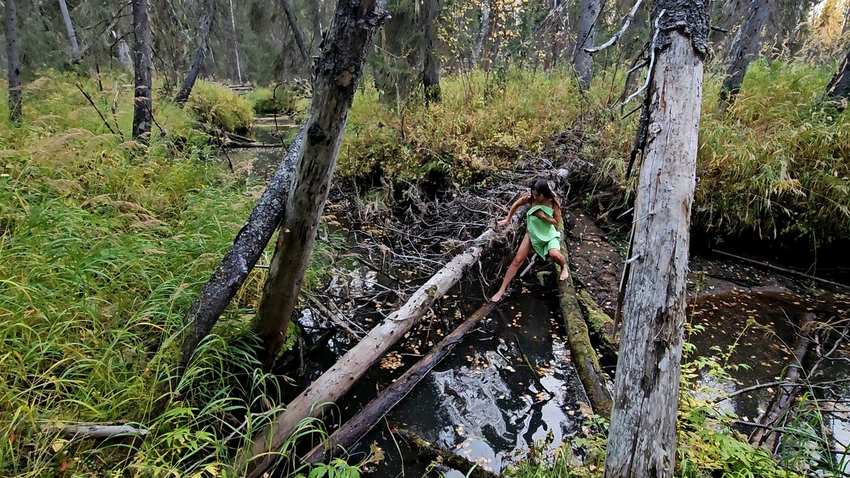 Перелезаю через упавшие деревья.