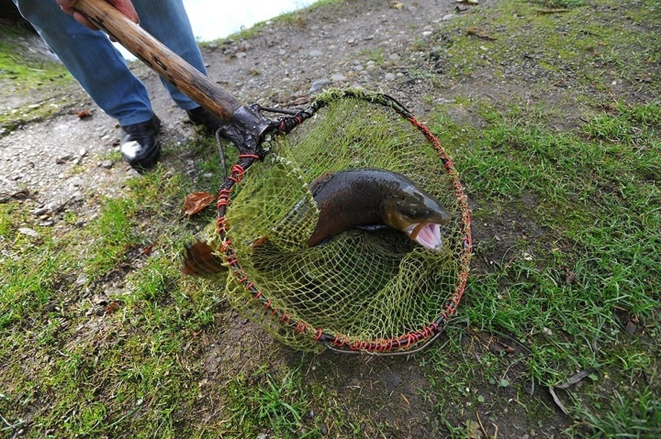    Подсудимому назначено наказание в виде 80 часов обязательных работ. Виктор ГУСЕЙНОВ