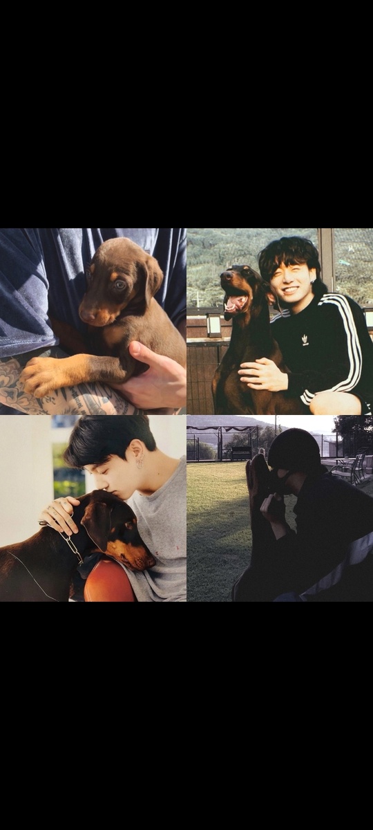 Кадр из интернета 