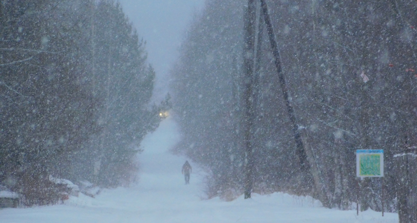    Фото из архива Pro Города