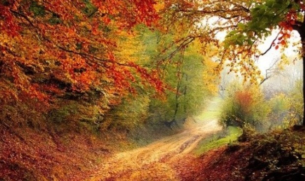 Фото взято из интернета 