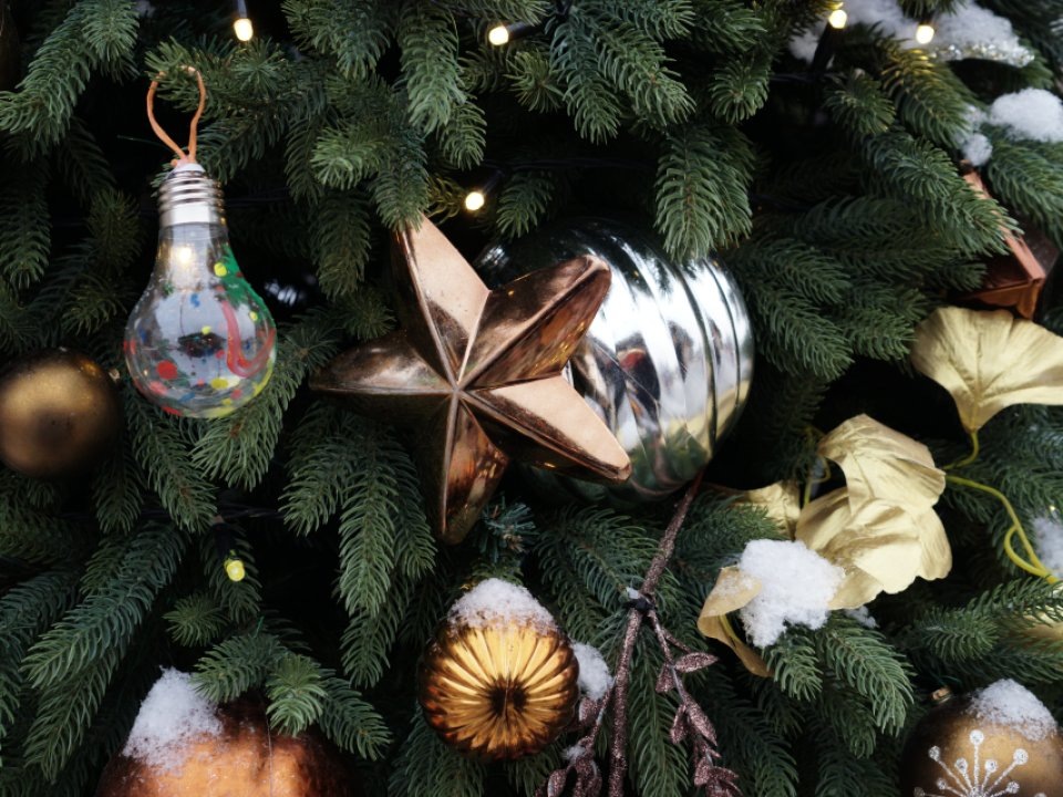    Фото: REGIONS/Дарина Левкина