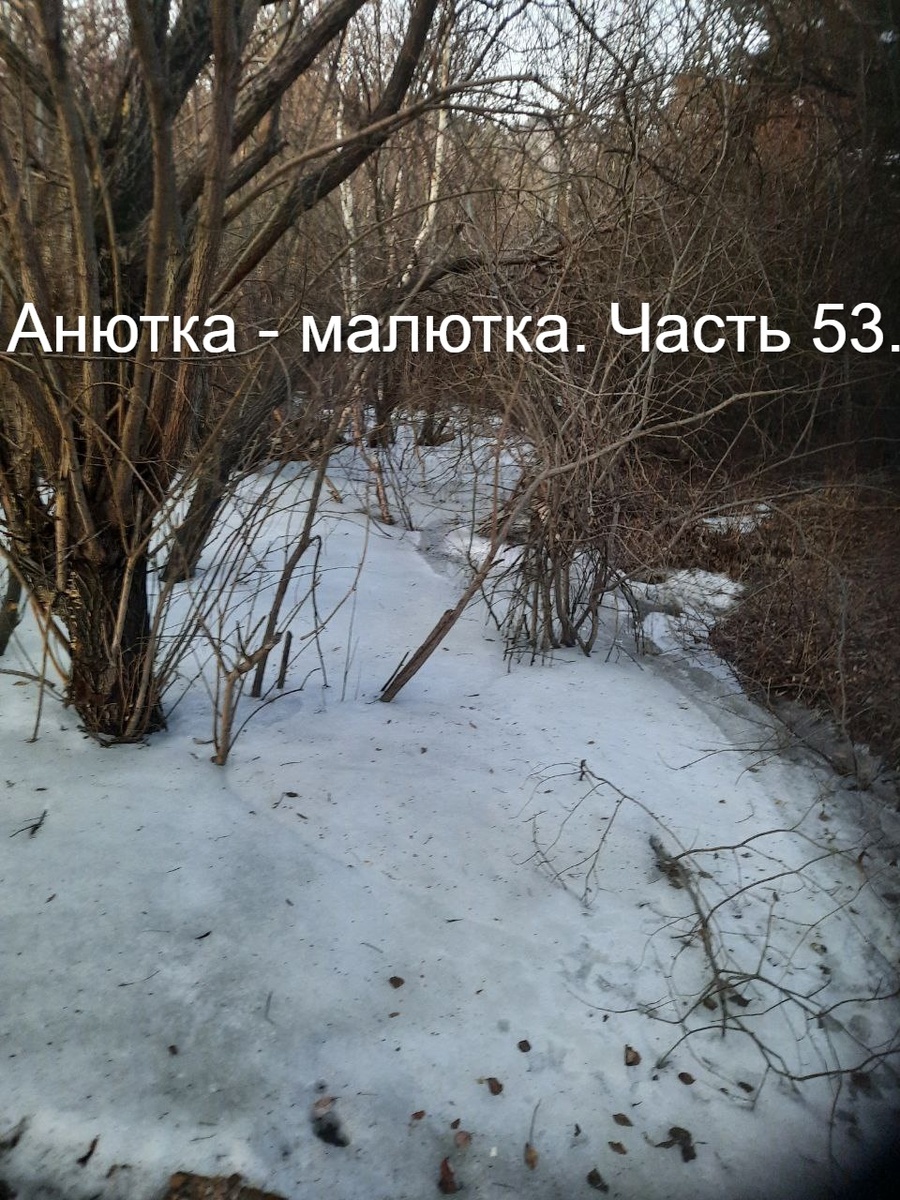 Фото автора.