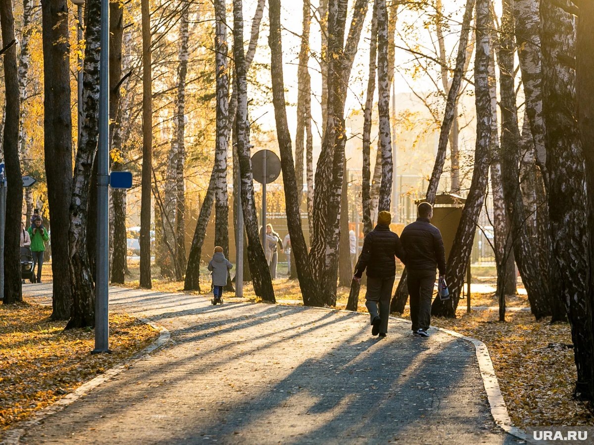    Поход в Гилевскую рощу закончился печально для всех участников конфликта