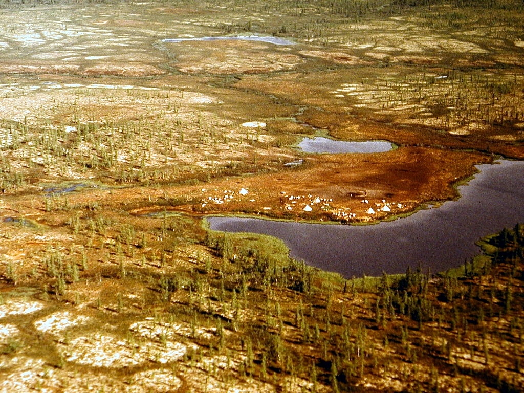 Лесотундра с высоты птичьего полета 