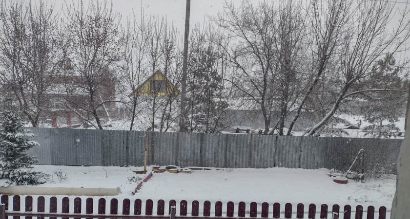    Фото irkutsk.news