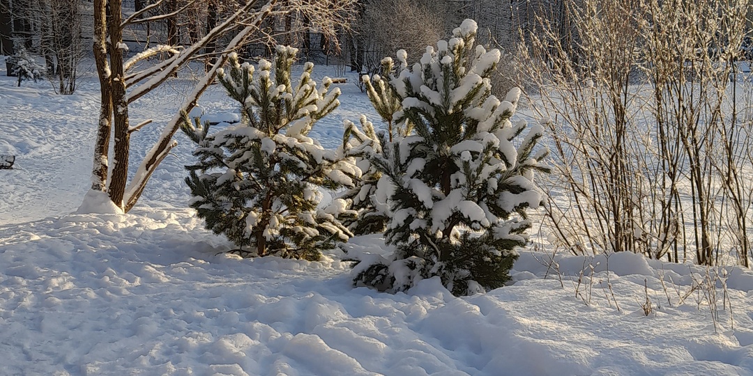 Озерки зимой