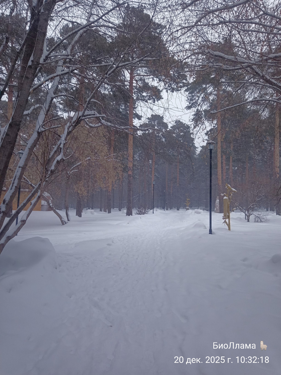 Эдемский сад