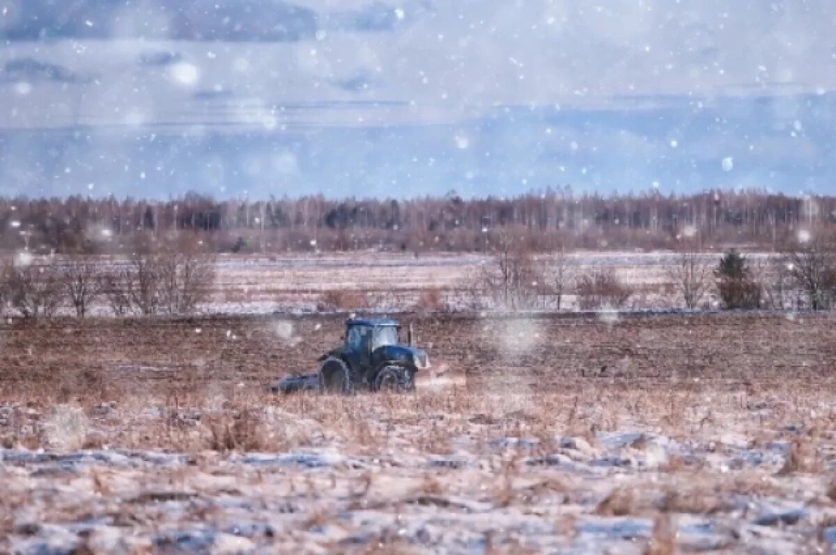    Нижегородцы хотят расширить сотрудничество с Египтом