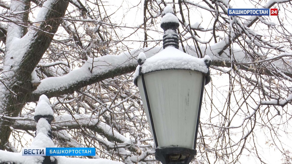    На 4-8° выше нормы: в Башкирию придет аномальное тепло