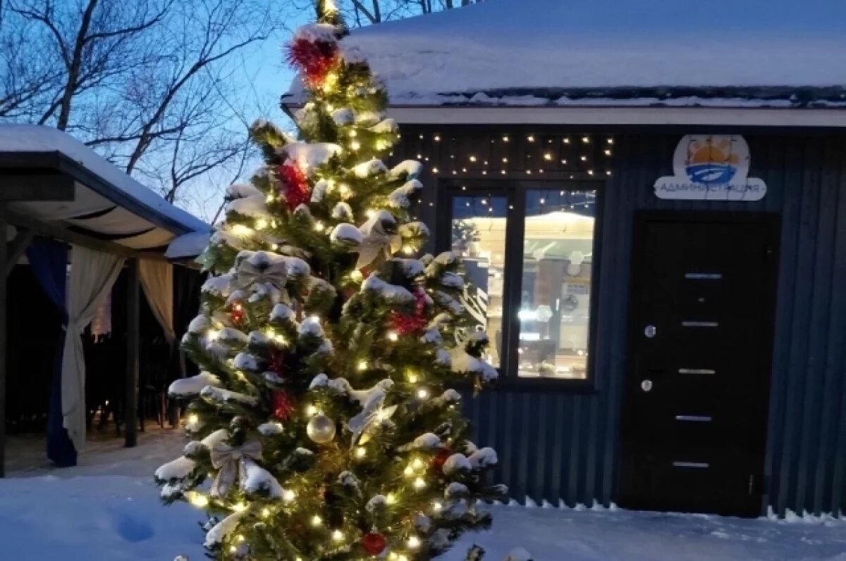    В новосибирской школе отменили новогодние мероприятия из-за туберкулеза