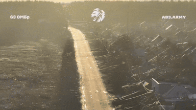    Затянутый паутиной оптоволоконных кабелей от дронов-камикадзе Красный Лиман, видео вражеских Telegram-каналов