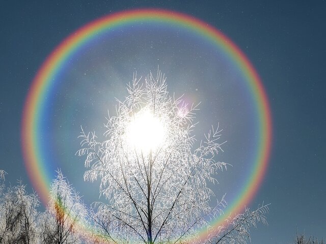    Фото: Москва 24/Лидия Широнина