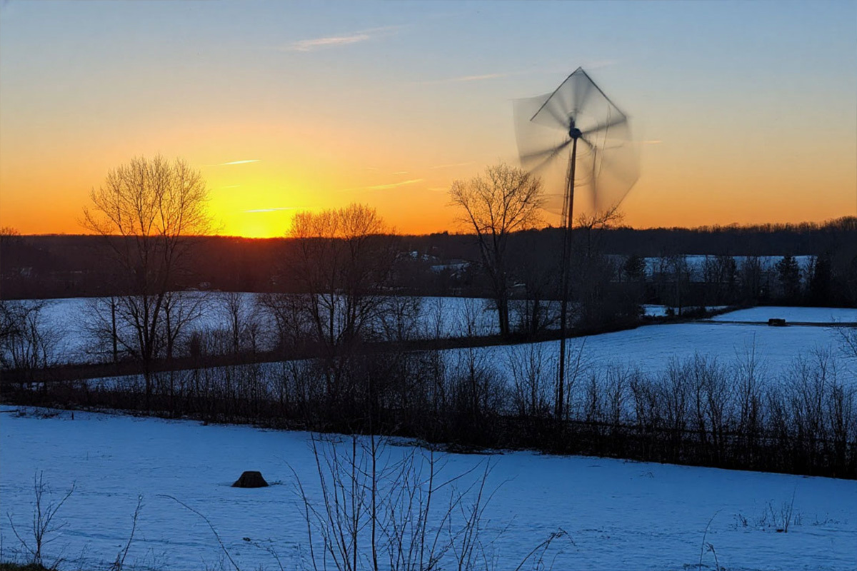    Фото: коллаж RuNews24.ru