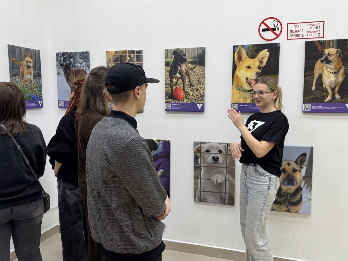 Экспозиция расположена на втором этаже местного торгово-развлекательного комплекса.  Фото: Фото предоставлено пресс-службой ТВ-3