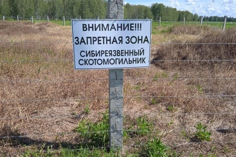    Особые скотомогильники привели в порядок. Фото: Управление ветеринарии Новосибирской области